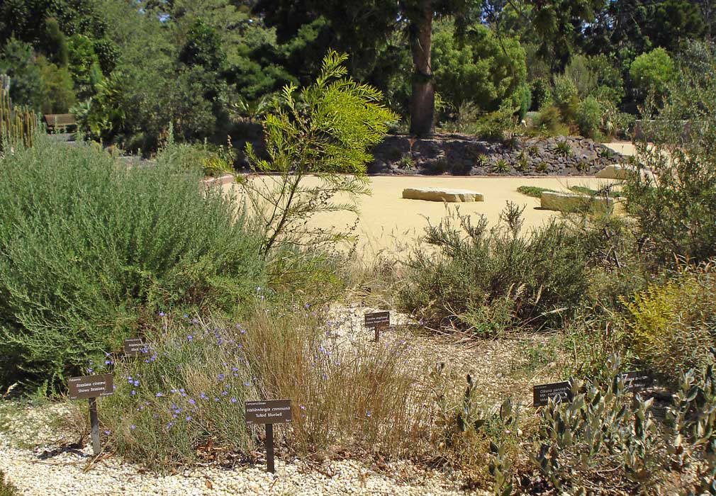 [Geelong-Botanic-Gardens.jpg]