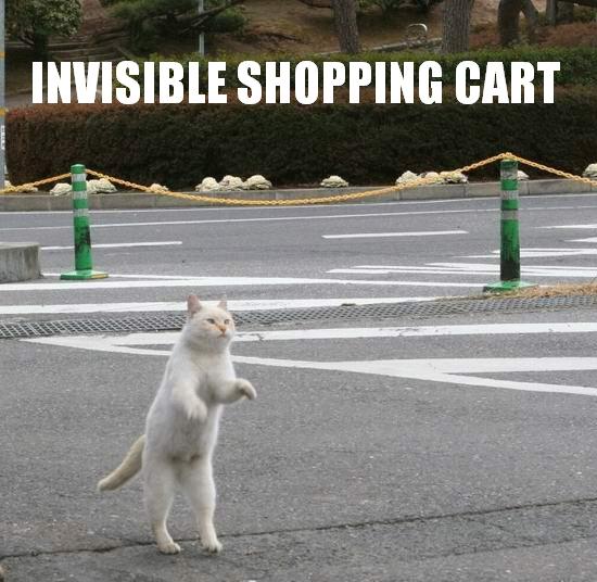[invisible-shopping-cart.jpg]
