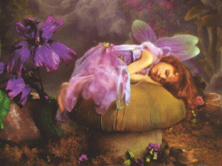 [sleeping fairy.jpg]