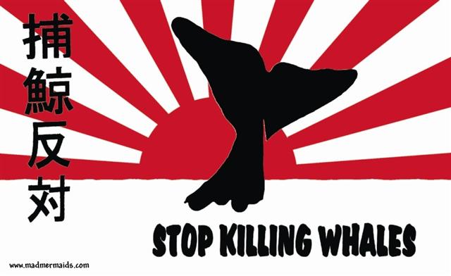 [Stop+Killing+Whales+(Small).jpg]