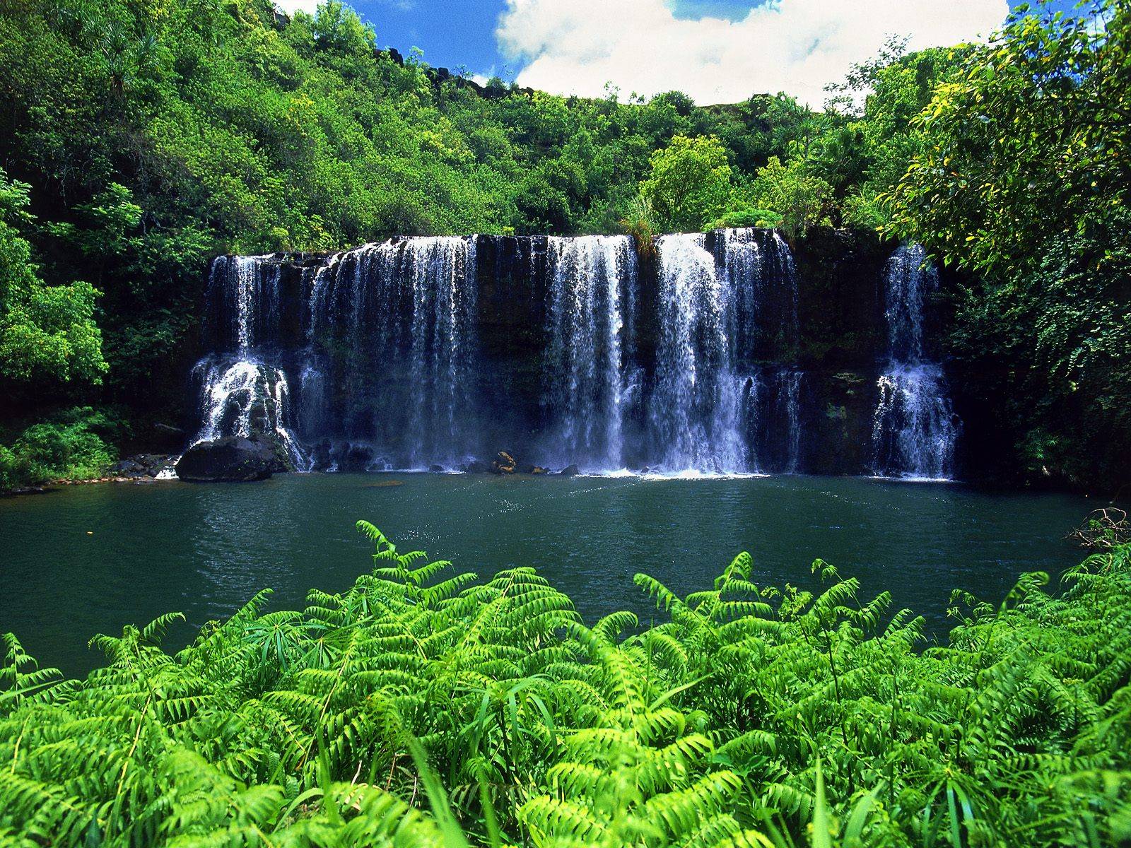 [Secluded+Falls,+Kauai.jpg]