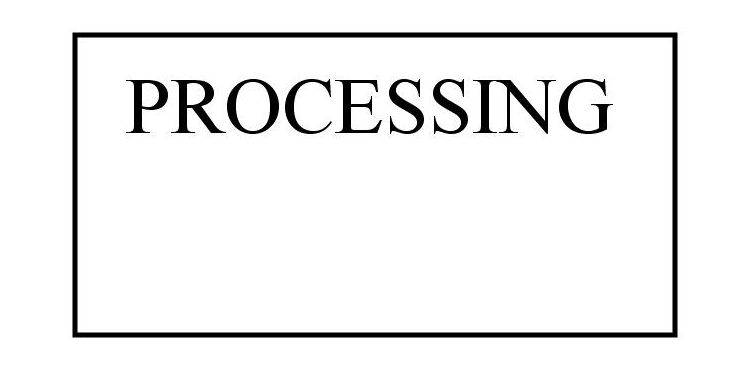 [processing.JPG]