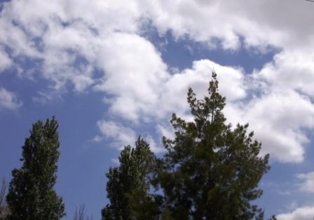 [árvores+e+nuvens.JPG]