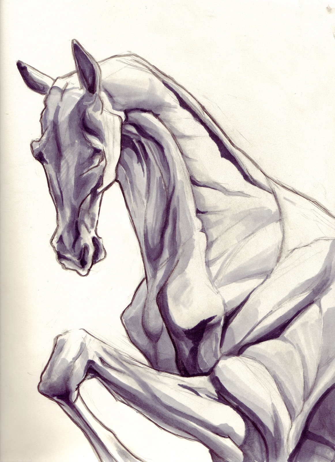 [filet+horse.jpg]
