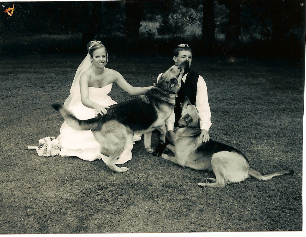 [wedding+dogs.jpg]