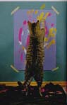 [cats+paint.jpg]