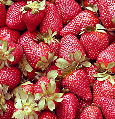 [2007-02-26strawberries.jpg]