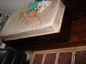 [beautiful+varnish,+excellent+condition,+twin+bed+$100.jpg]