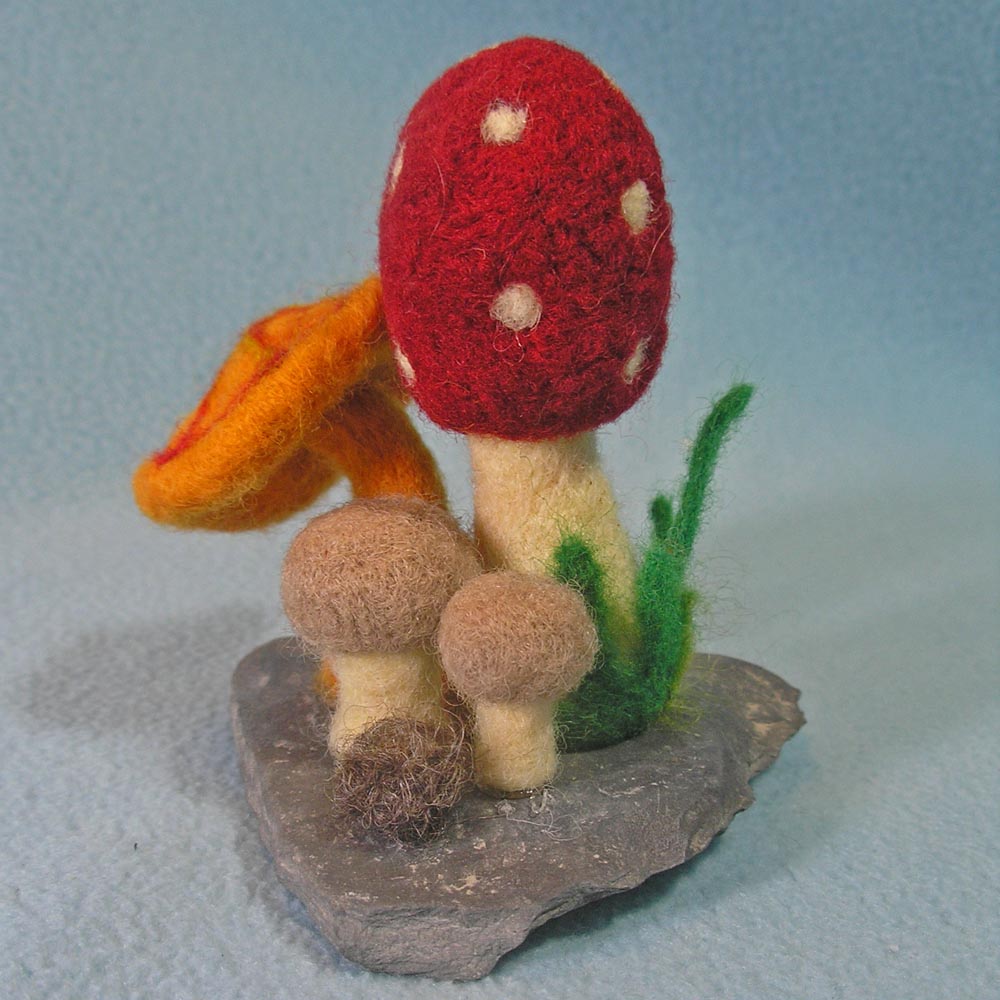 [Mushrooms1.jpg]