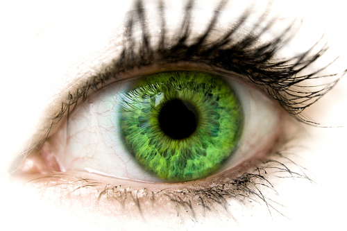 [green_eyes.jpg]