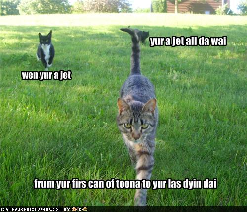 [jetcatswss.jpg]