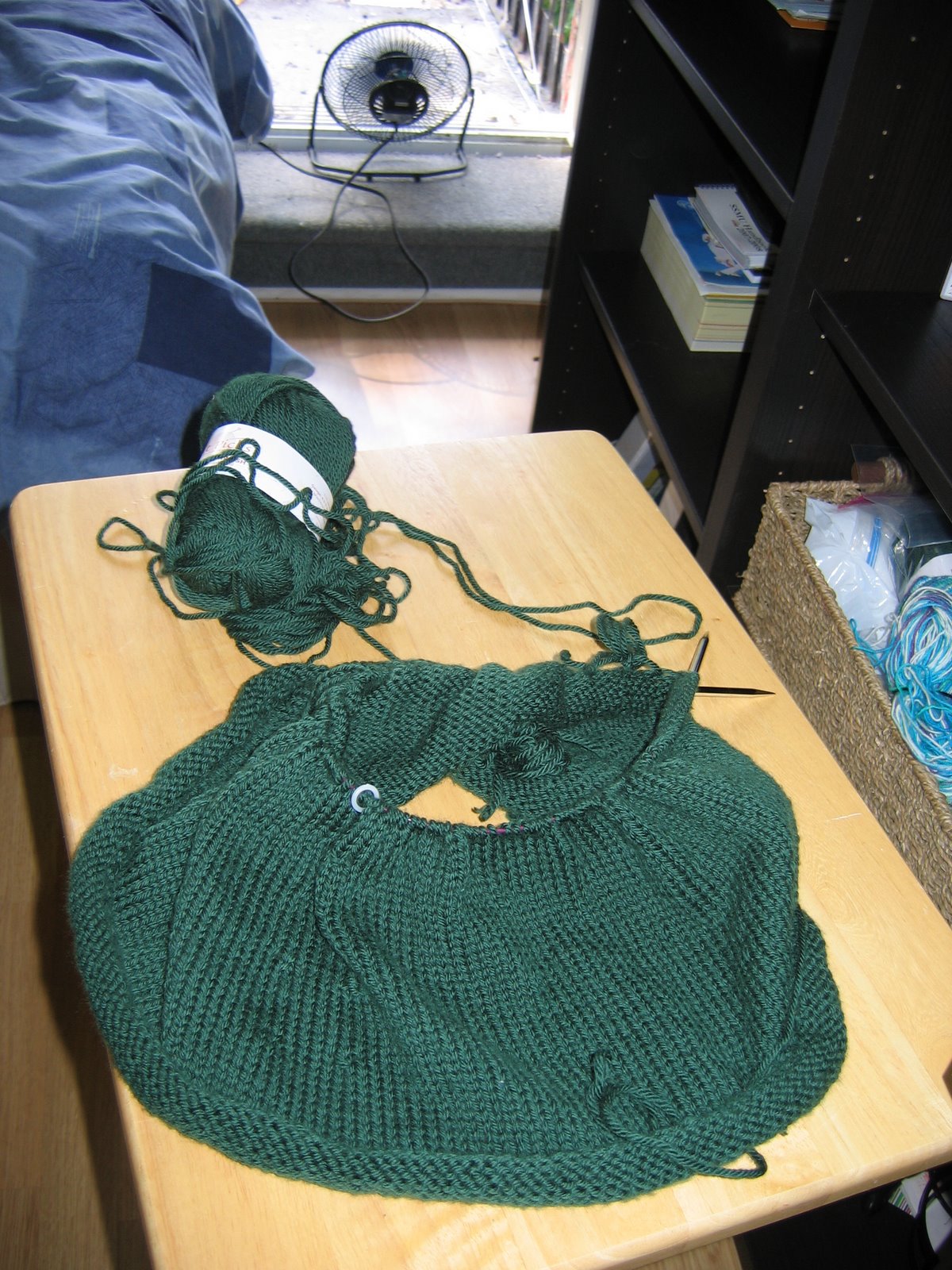 [knit0025.JPG]