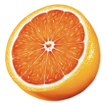 [laranja.jpg]