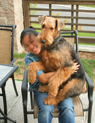 Airedale Growth Chart