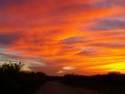 [Texas+Sunset.jpg]