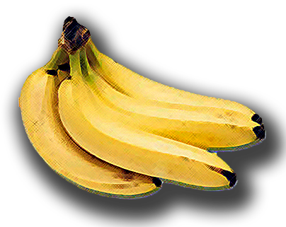 [bananas+copy.png]