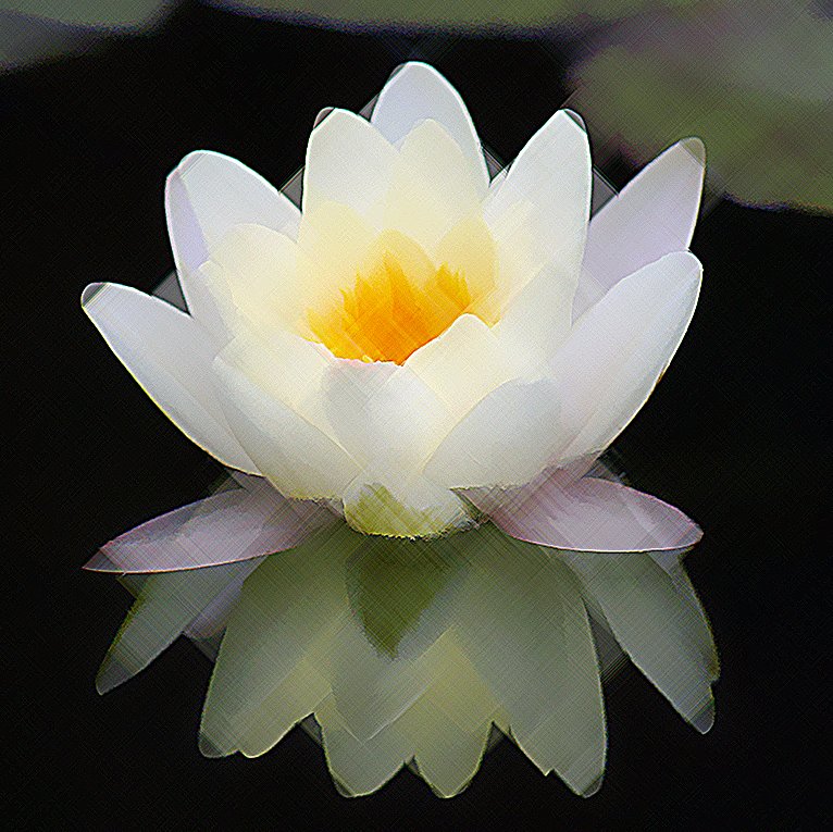 [a+flor+de+lotus.jpg]