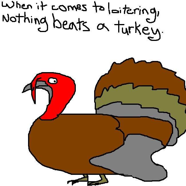 [Turkey.bmp]