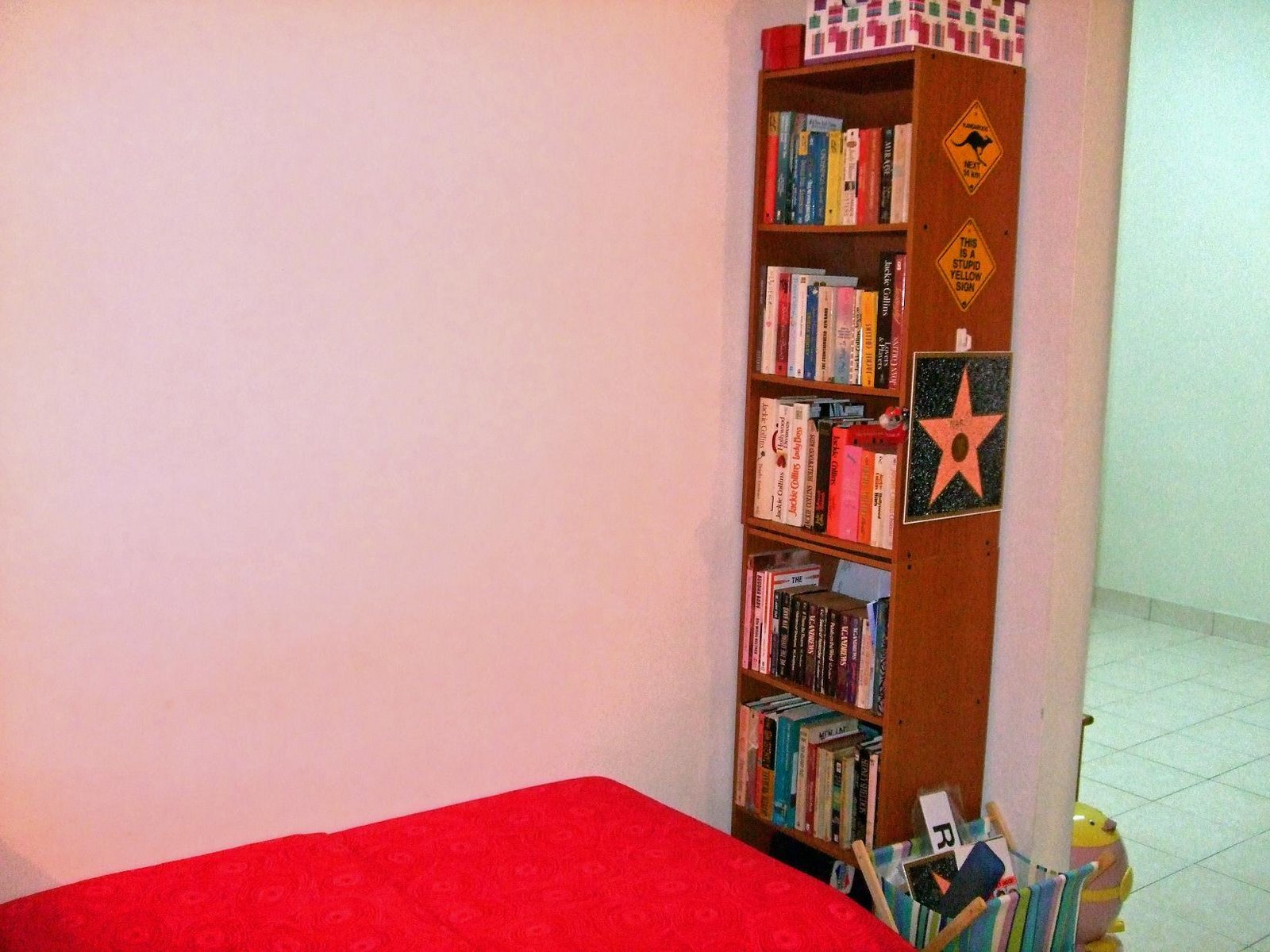[Bookcase+bed.JPG]