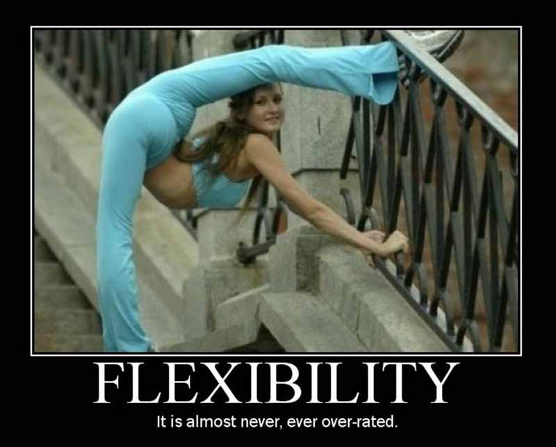 [motivation+flexibility.jpg]