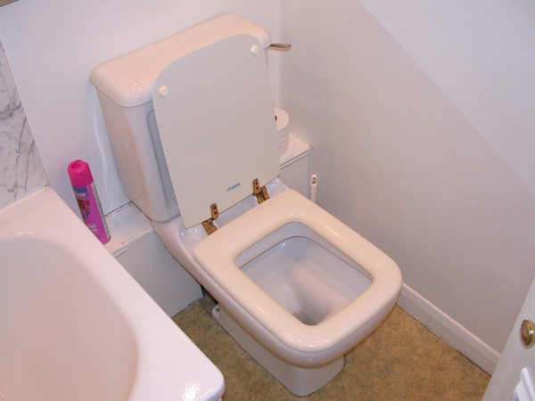 [square_toilet-s.jpg]
