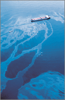 [Exxon+Valdez+oil+slick.gif]