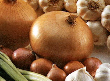 [Garlic-Onion.jpg]