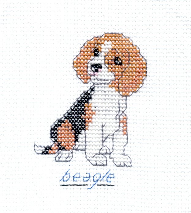 [beagle.jpg]