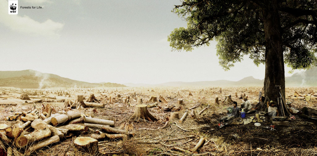 [wwf-forests-for-life-gr.jpg]