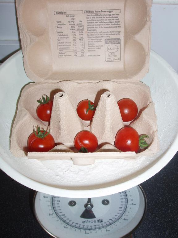 [P1010134+-+tomatoes.JPG]