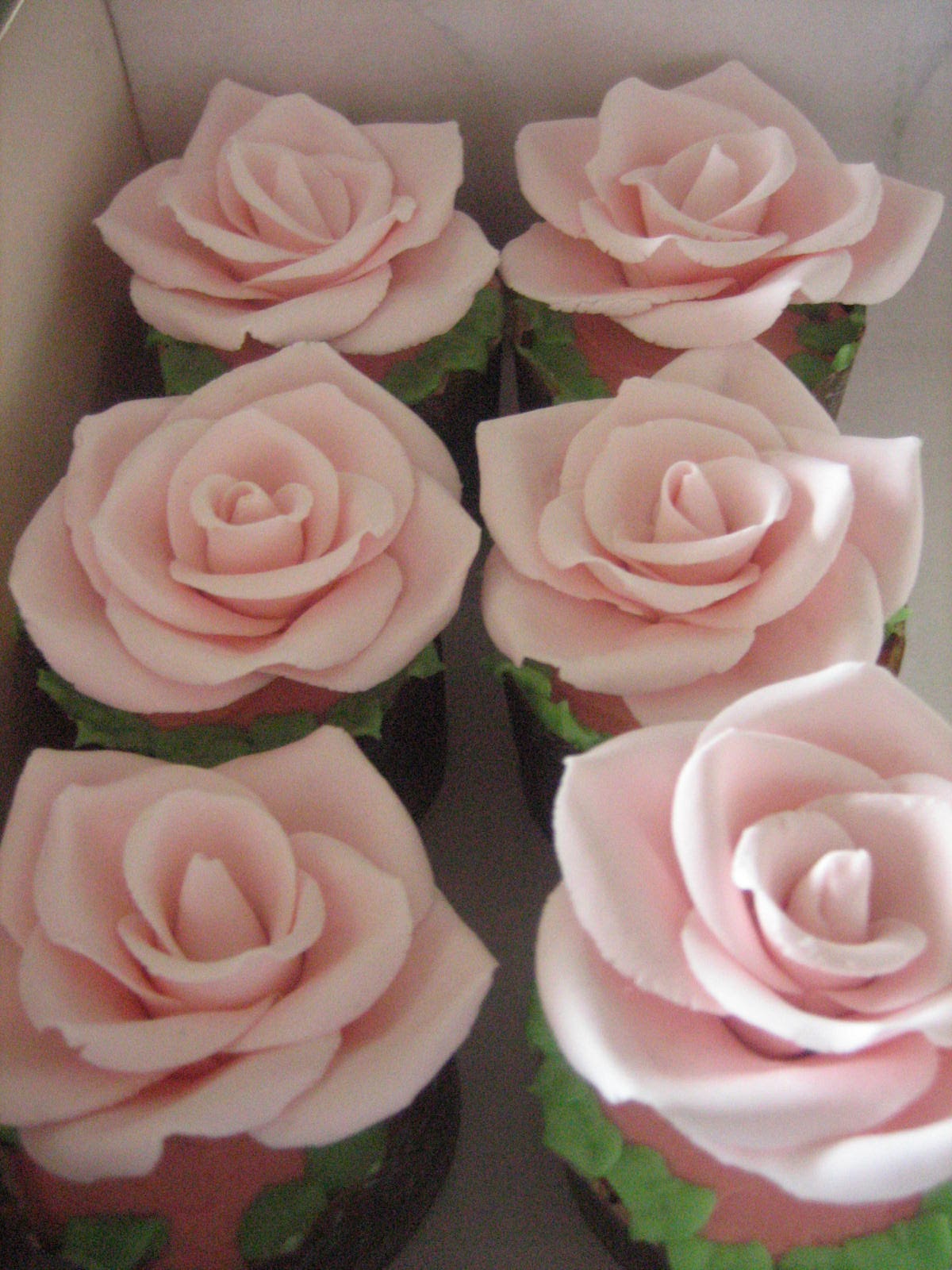 [rose+cupcakes.JPG]
