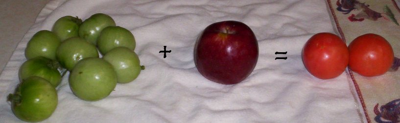 [tomato+and+apple.jpg]