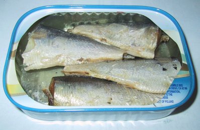 [sardines.jpg]