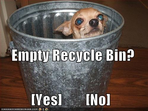 [funny-pictures-recycle-bin-dog.jpg]