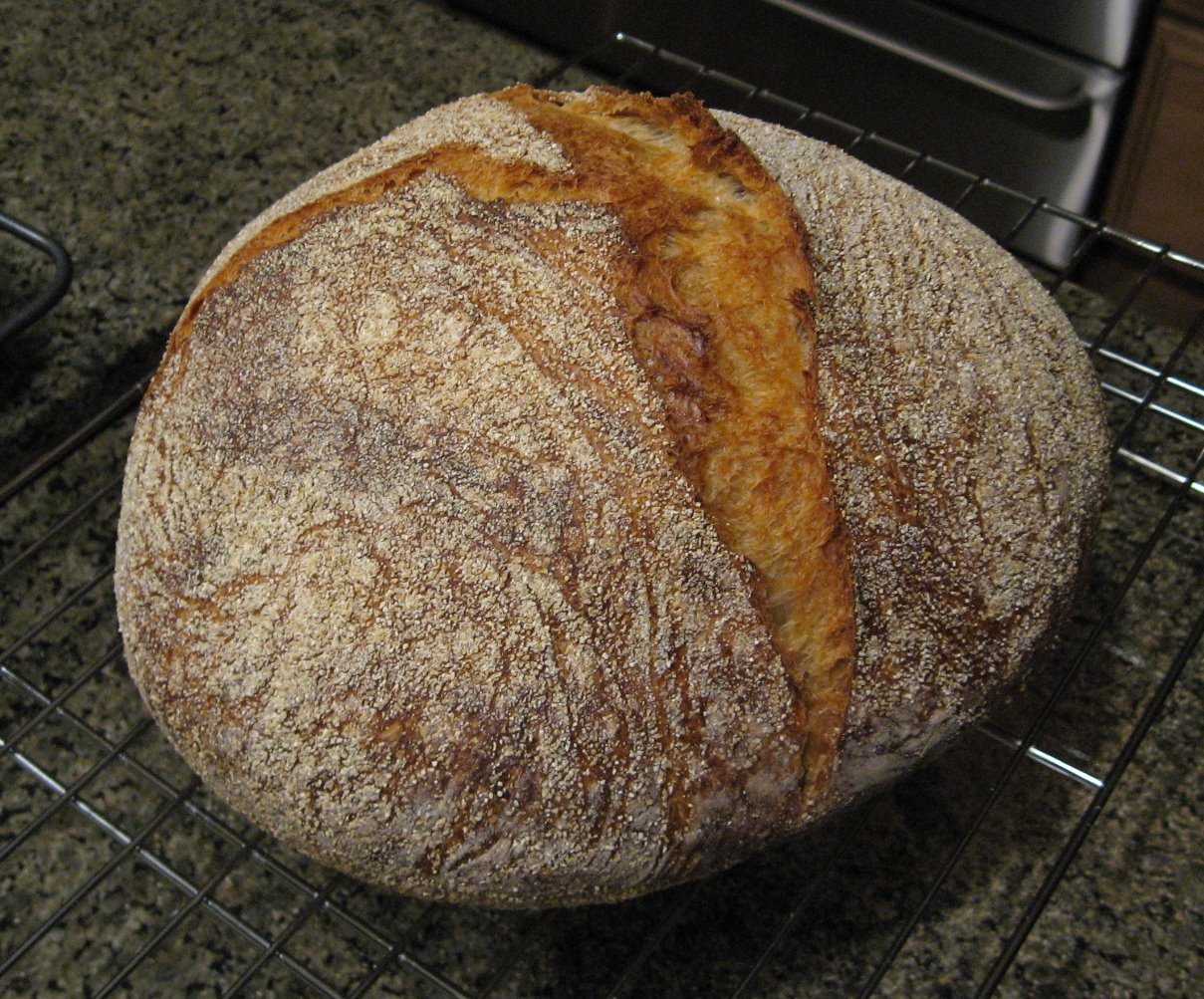 [bread.JPG]