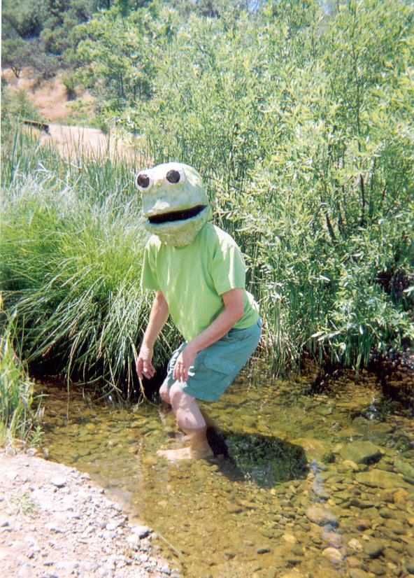 [frog+tom+pond+good.jpg]