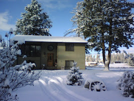 Our house Dec. 29, 2007