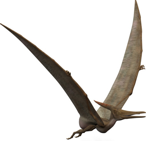 [pterosaur.jpg]