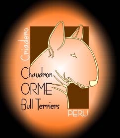 [Logo chau bull color.jpg]
