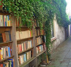 [books+outdoors.jpg]