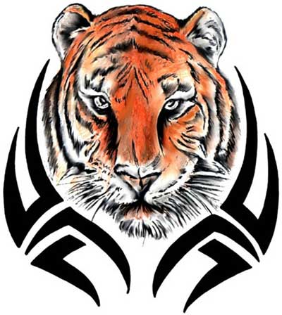A Tiger Tattoo Design with colored head and black and white backward 