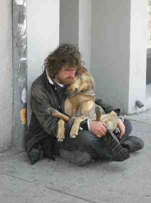 [pets+of+the+homeless.jpg]