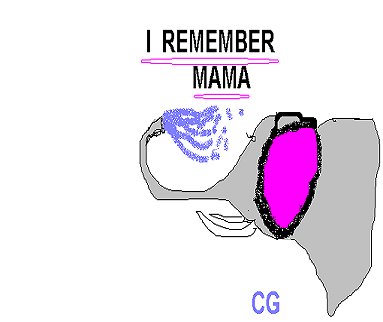 [I+Remember+Mama.bmp]