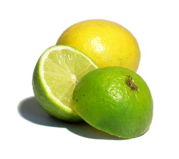 [lemon+and+lime.jpg]