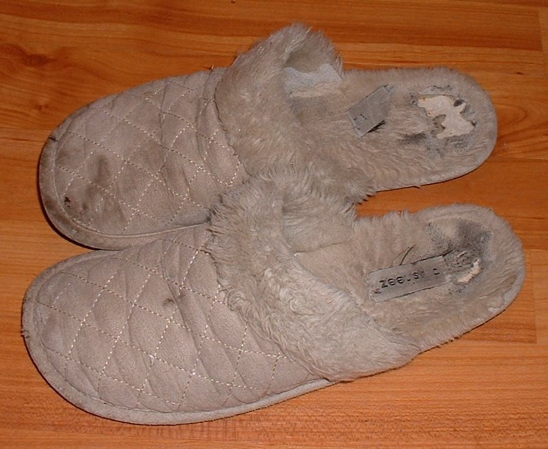 [ugly+slippers.JPG]