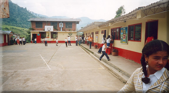 El Colegio de Hojas Anchas