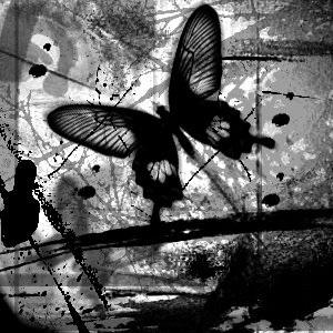 [black_and_white_butterfly_by_m3ntal.jpg]