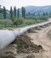 [Argelia_contratos_gas]