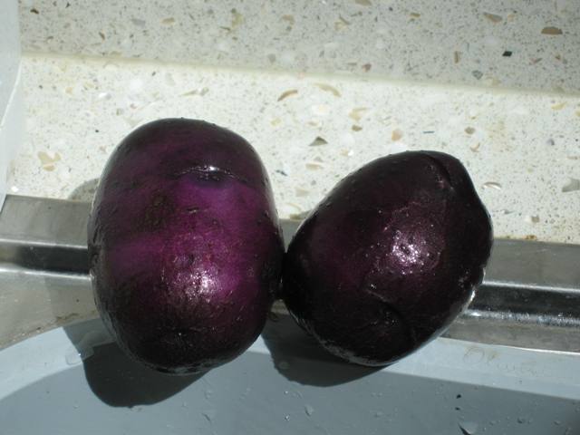 [potato3.JPG]