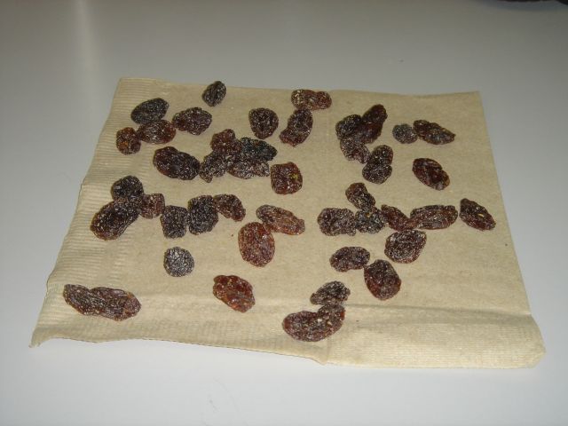 [raisins.jpg]